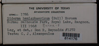 Image Associated With the Occurrence